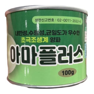 초극조생 양파씨앗 아마플러스 100g 하우스 전남 해안가 양파종자 진도 무안품종