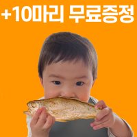 공존제주 리얼 참굴비 국내산100% 영광 법성포 부세 보리굴비 보다 덜 짠 참조기 무배