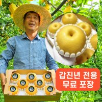 황금배 배선물세트 화산배 추황배 신고배 3kg 5kg