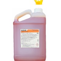 안셈 ECOLAB 이콜랩 친환경 다목적세정제 오아시스137G 5L 1개