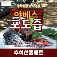 [푸드타임] 추석선물세트 감사의 마음을 전하는 충북영동 ufeff100프로 포도로 짠 포도즙50봉지