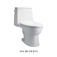 이누스 양변기 INUS IC-705E(IC705E) 투피스 수로노출형 양변기 절수형(시트 별도)