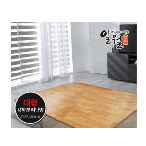 싸파 일월 나노륨 온수 카페트 매트 대형 240x183 거실 용 전기