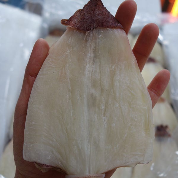 마른한치 10마리