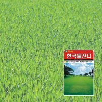 한국들잔디 만립 씨앗 / 아람종묘 잔디씨앗 잔디종자 잔디키우기 잔디심기 들잔디 잔디 산소잔디 골프잔디 마당잔디