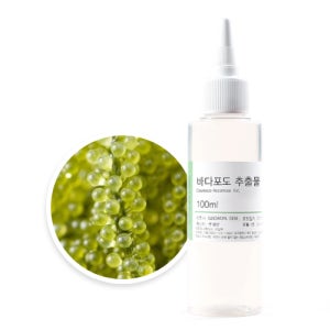 바다포도 추출물(Caulerpa Racemosa Ext.)