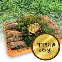 고랭지 횡성 재배 더덕(상) 1.8kg-2.3kg 등채반포장