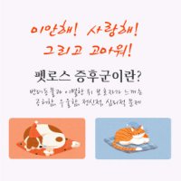 천안 펫로스증후군 상담