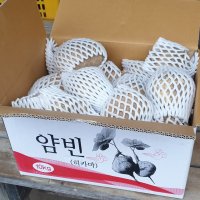 맥시코감자 히카마(얌빈) 5kg 10kg