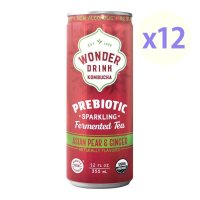 Wonder Drink 원더드링크 페어 진저 프리바이오틱 스파클링 콤부차 캔 355ml 12개