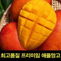 설 추석 명절 선물세트 고씨네 특급 애플망고후숙 수입애플망고 애플망고 2KG