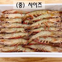 [선물용]자연산 서해 당일 조업 급냉 대하 (중 사이즈) 1kg(선물용 포장)