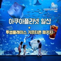 아쿠아플라넷 일산 입장권 투썸플레이스 아이스 아메리카노 기프티콘 패키지