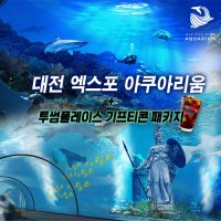 신세계 백화점 대전 엑스포 아쿠아리움 투썸플레이스 아이스 아메리카노 기프티콘 패키지