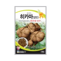 히카마 씨앗 종자 텃밭 채소 야채 세계히카마 50립