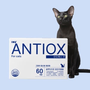 [아이누] 고양이 항산화제 반려묘 노묘 두뇌 영양제 안티옥스 캣 60캡슐
