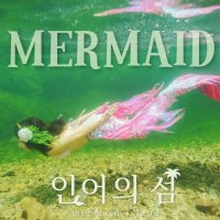 [인어의 섬] PADI 머메이드 다이빙 교육 - MERMAID 코스 / 인어수영 인어공주 인어