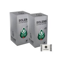 Bolero 볼레로 과일워터 워터멜론 수박 맛 9g 12개입 2팩