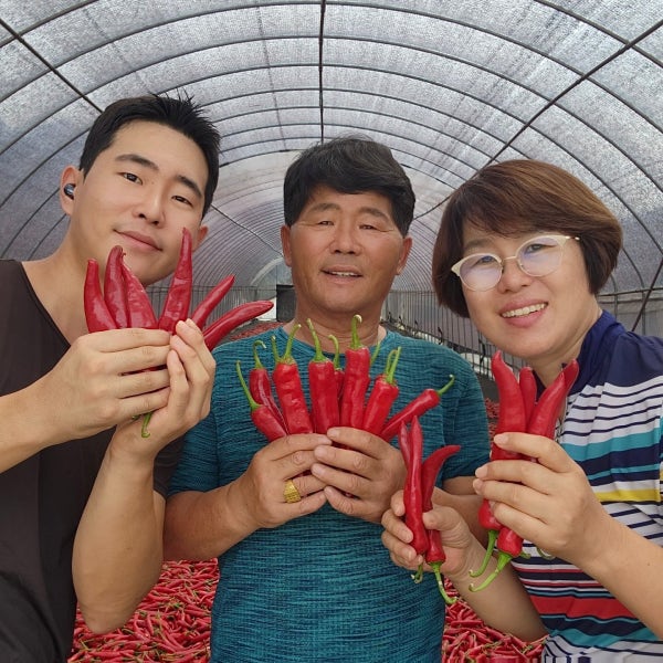 국산 햇고춧가루 1kg 반태양초 김치 반찬용 안매운맛 청양고추가루
