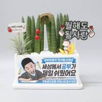 학원 공부방 개원축하 선물용 메세지화분 스투키 센스있는문구 글귀 레터링 황군팩토리 금전수