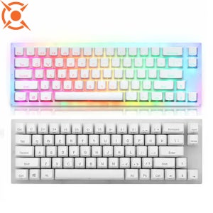 콕스 피네스 66키 아크릴 RGB 갈축 퀵스왑 게이밍 키보드