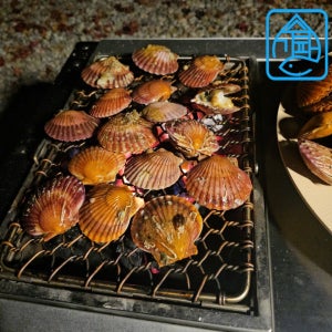 [수가파] 당일바리 활 홍가리비 3kg