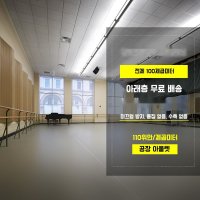 베란다 카페트 깔판 사무실 바닥재 헬스 매트 인테리어 용품 도어 현관 발판 고무 홈 에버롤 레드 코일 우레탄 북유럽 물 흡수 베란다 발코니 미끄럼 방지 계란 충격 패드 방음