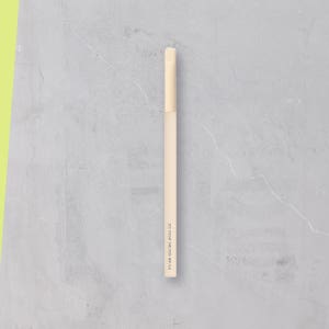 3CE 포인트 스머지 브러쉬 1개