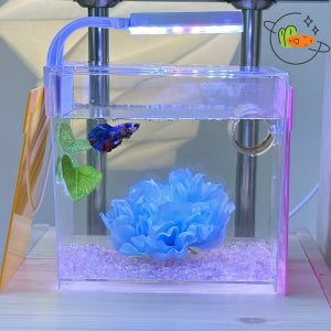 베타어항 꽃침대 플라스틱 미니어항세트 물고기 베타키우기 3L