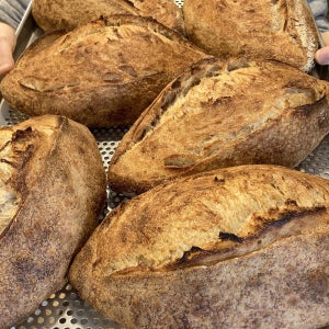 플레인 사워도우 (오픈 샌드위치/식사빵)