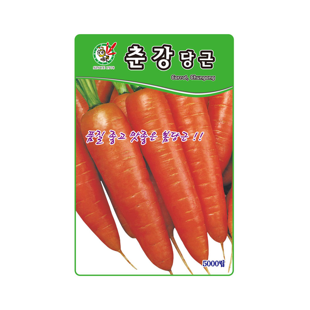 당근 5000립 씨앗 종자 채소 야채 텃밭 정원 농사 춘강