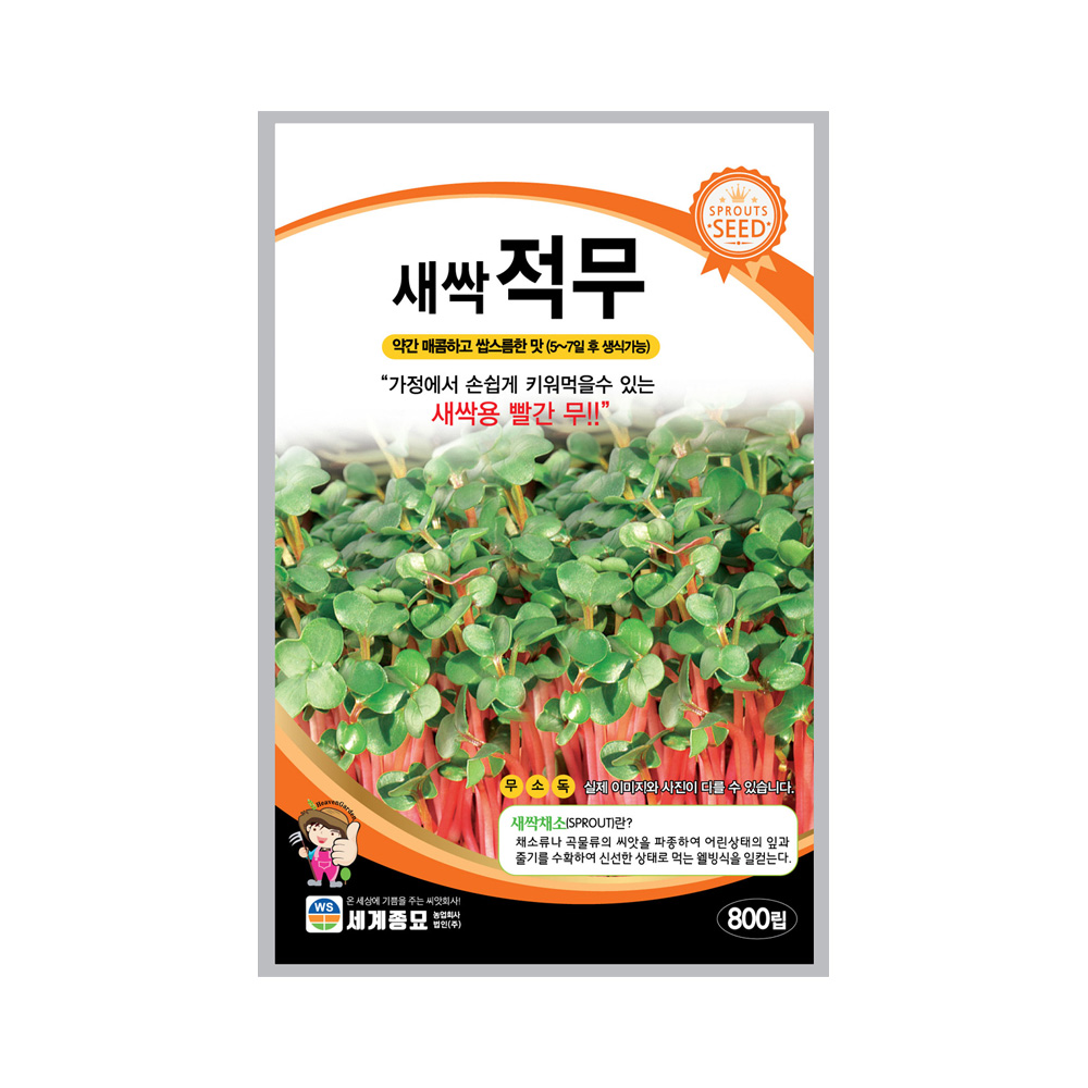 새싹 적무 씨앗 800립 종자 새싹 채소 야채 씨앗