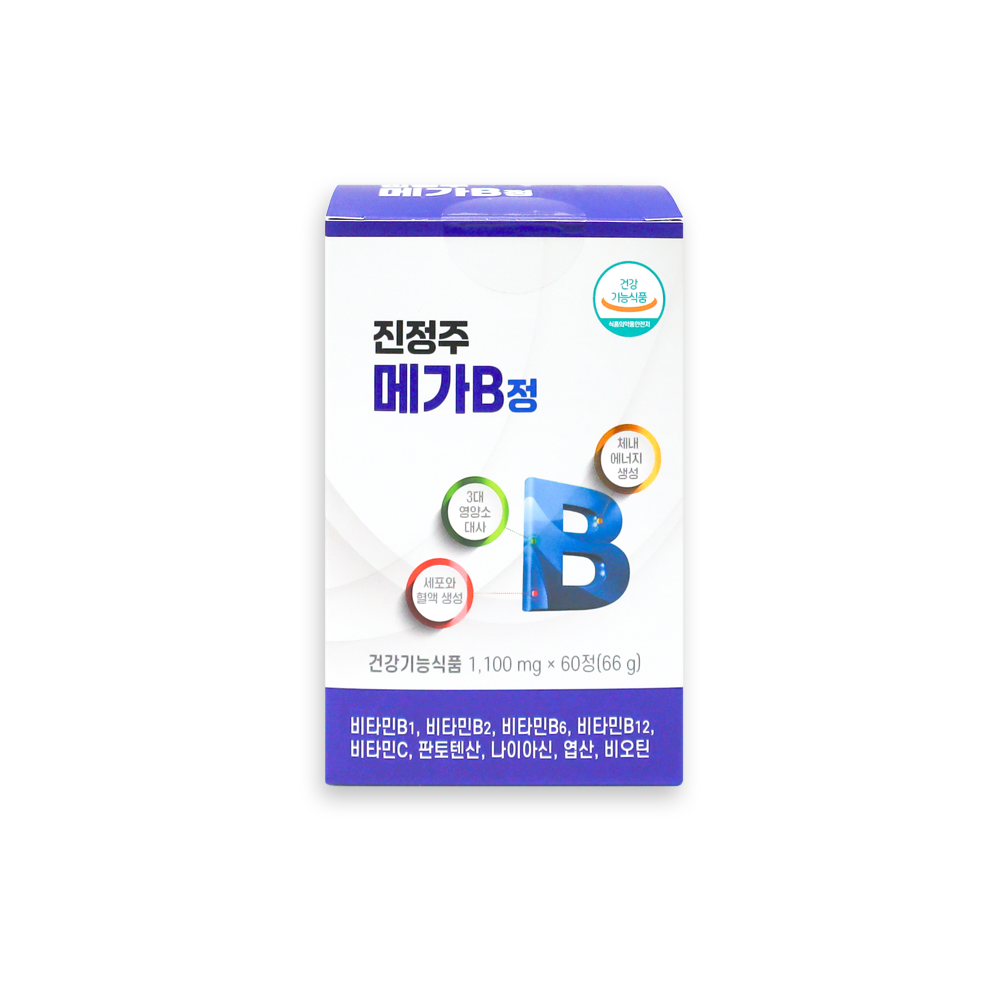 진정주 메가B정(60정)