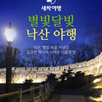 별빛 달빛 낙산 야행