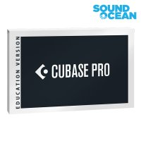 스타인버그 Cubase Pro 12 큐베이스 프로 12 교육용