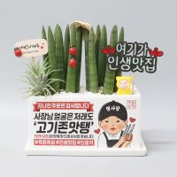 고기집 오픈기념 축하선물 사장님칭찬 센스있는 메세지화분 문구 글귀 스투키 황군팩토리 식물