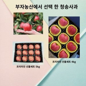 청송 시나노골드 황금사과 꿀부사 선물세트 3kg 5kg