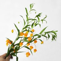 샌더소니아 생화택배 고속터미널꽃시장 한단 꽃다발 산더소니아