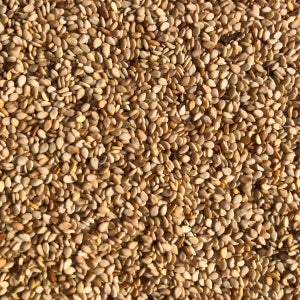 제주도 햇 참깨 1kg, 2kg, 3k 참기름 들깨 깨