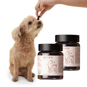 울애기쌩쌩 강아지 관절 피부 종합영양제 2세트