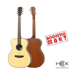 신모델 헥스 F100 G 유광 입문 연습 여성용 통기타