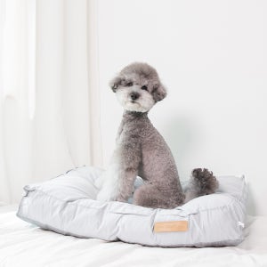 요기쏘 강아지 프리미엄 컴포트 쿠션 고양이 마약 방석
