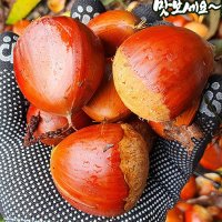 부여밤 햇밤 생밤 약단밤 밤 특2kg