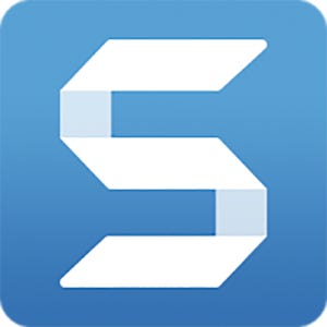 TechSmith Snagit 정부용 1년 라이선스 -Single User 스내그잇