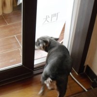 요기펫 강아지 고양이 안전문 베란다용 견문