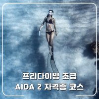 프리다이빙 자격증 코스 (AIDA 2 초급 자격증)