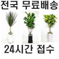 청주화분당일배송