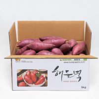 2023년도 햇 해들녘 무농약 고창황토고구마 5kg x (왕/ 특상/ 중/ 한입) 사이즈