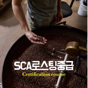 SCA 로스팅클래스 중급 (Intermediate)