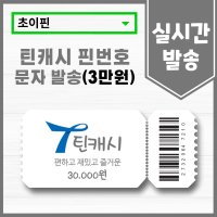 [실시간 발송] 틴캐시 핀번호 30000원권